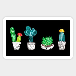 succulents Magnet